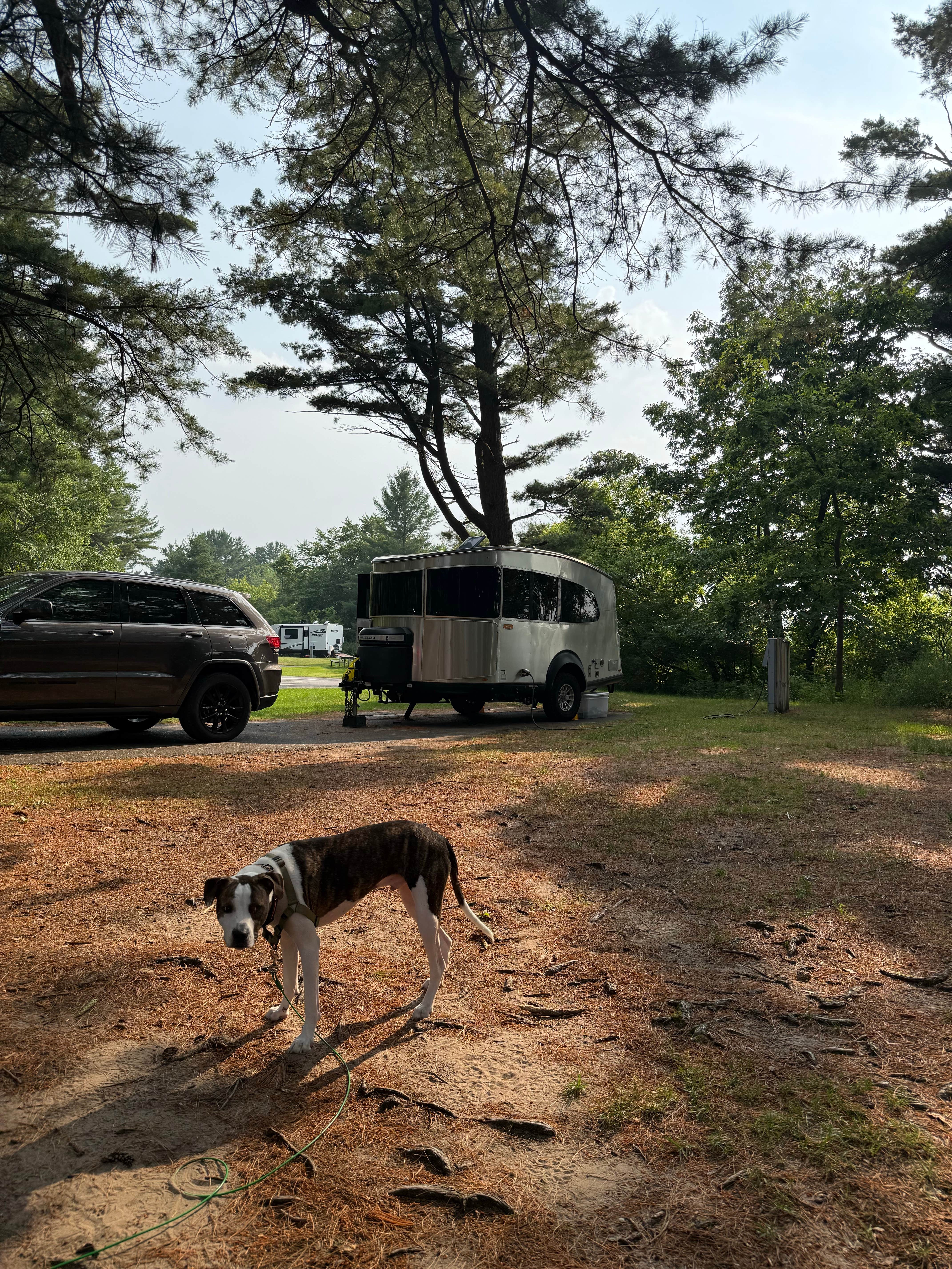 Justin F.'s photo of camping with pets at Kohler-Andrae State Park near Elkhart Lake, WI
