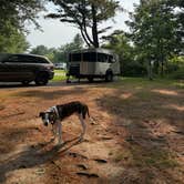 Review photo of Kohler-Andrae State Park by Justin F., July 21, 2025