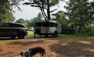 Justin F.'s photo of camping with pets at Kohler-Andrae State Park near West Bend, WI