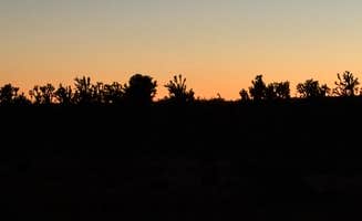 aron F.'s photo of a dispersed camping area at Kokoweef Dispersed Camping near Nipton, CA