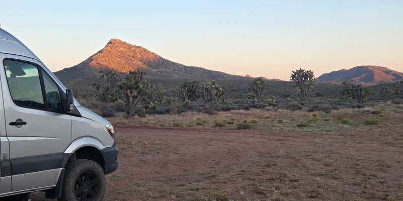 Camper submitted image from Kokoweef Dispersed Camping