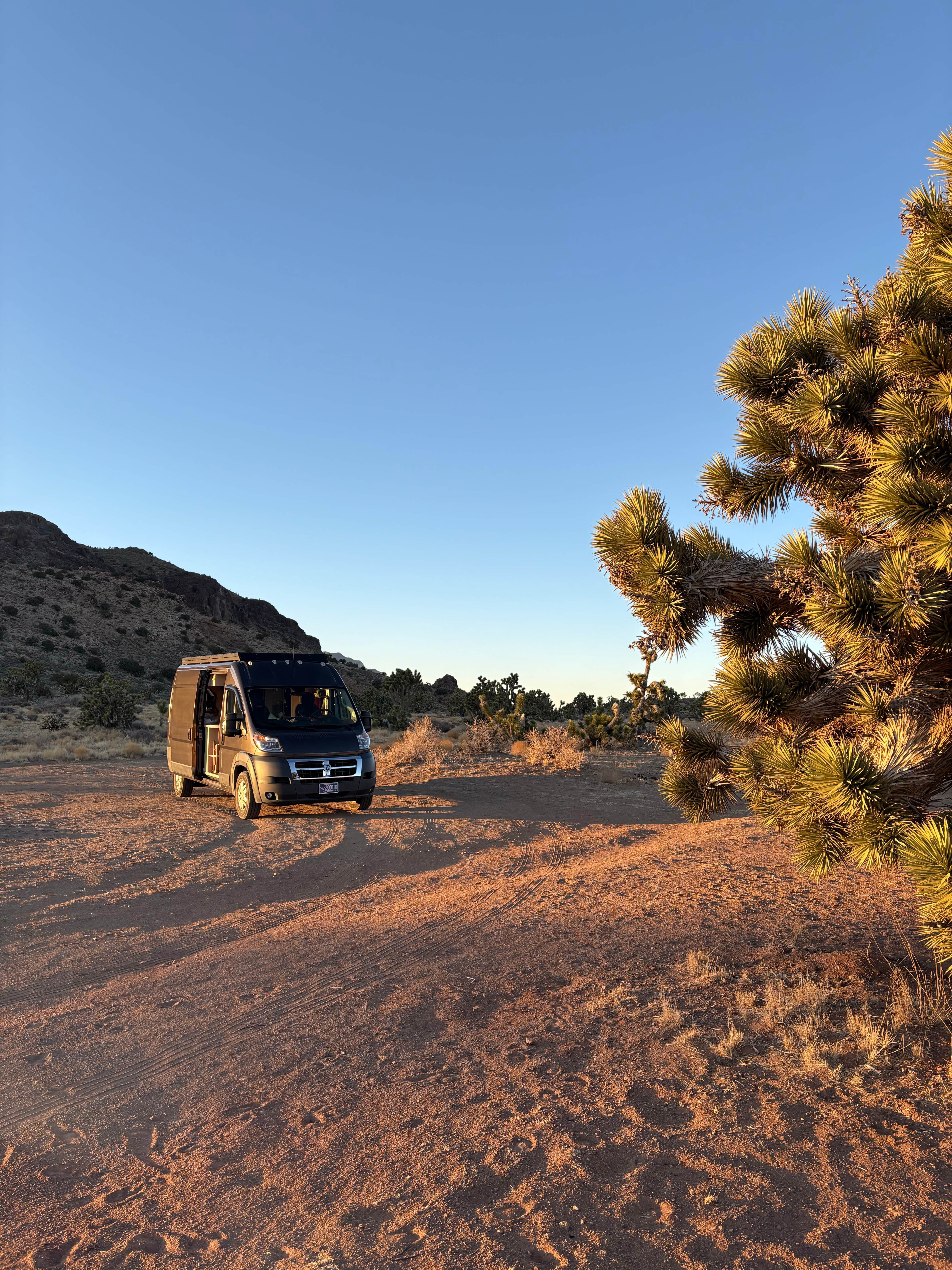 Camper-submitted photo at Kokoweef Dispersed Camping near Nipton, CA