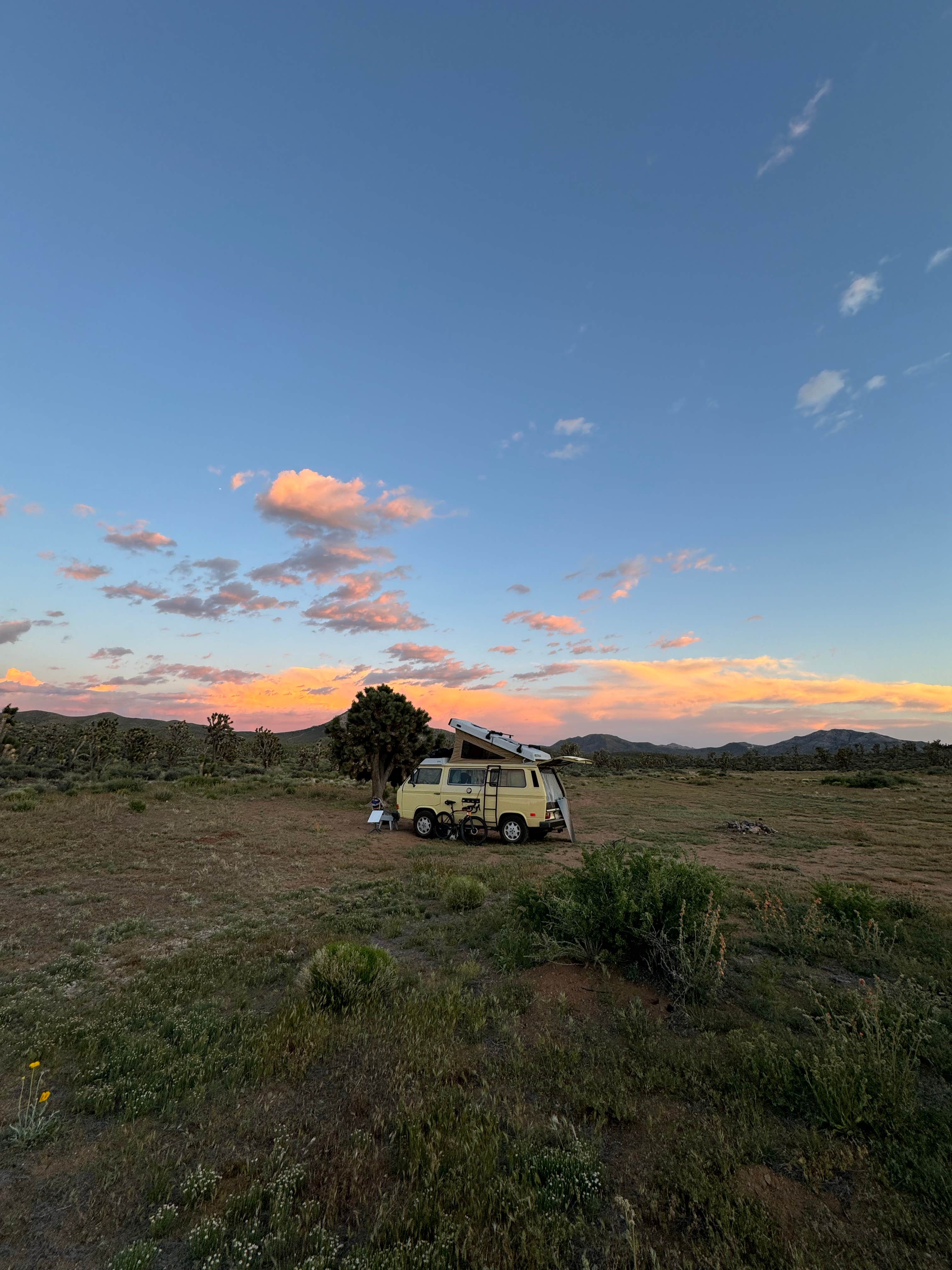 Camper-submitted photo at Kokoweef Dispersed Camping near Nipton, CA
