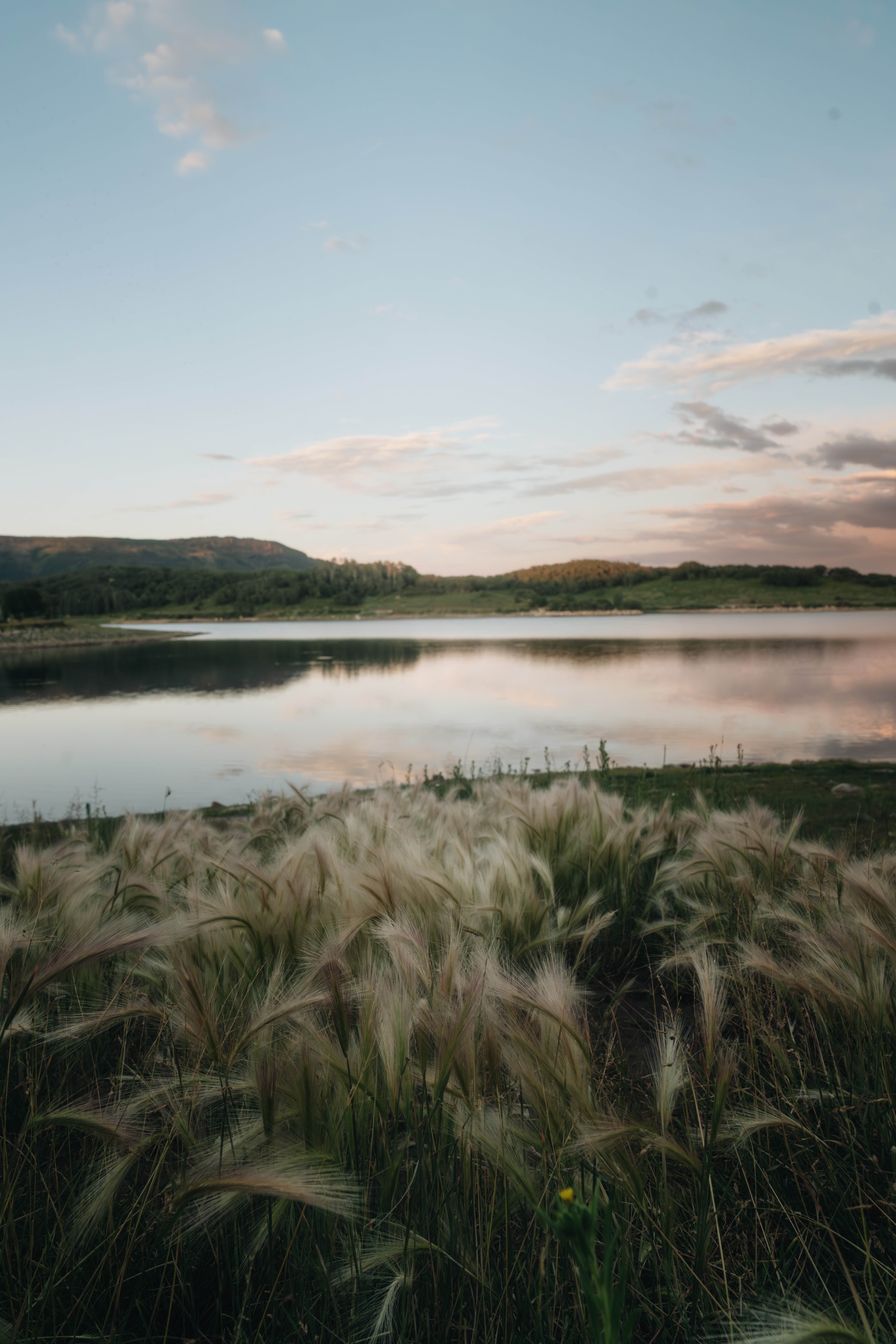 Camper-submitted photo at Kolob Reservoir North near Kanarraville, UT