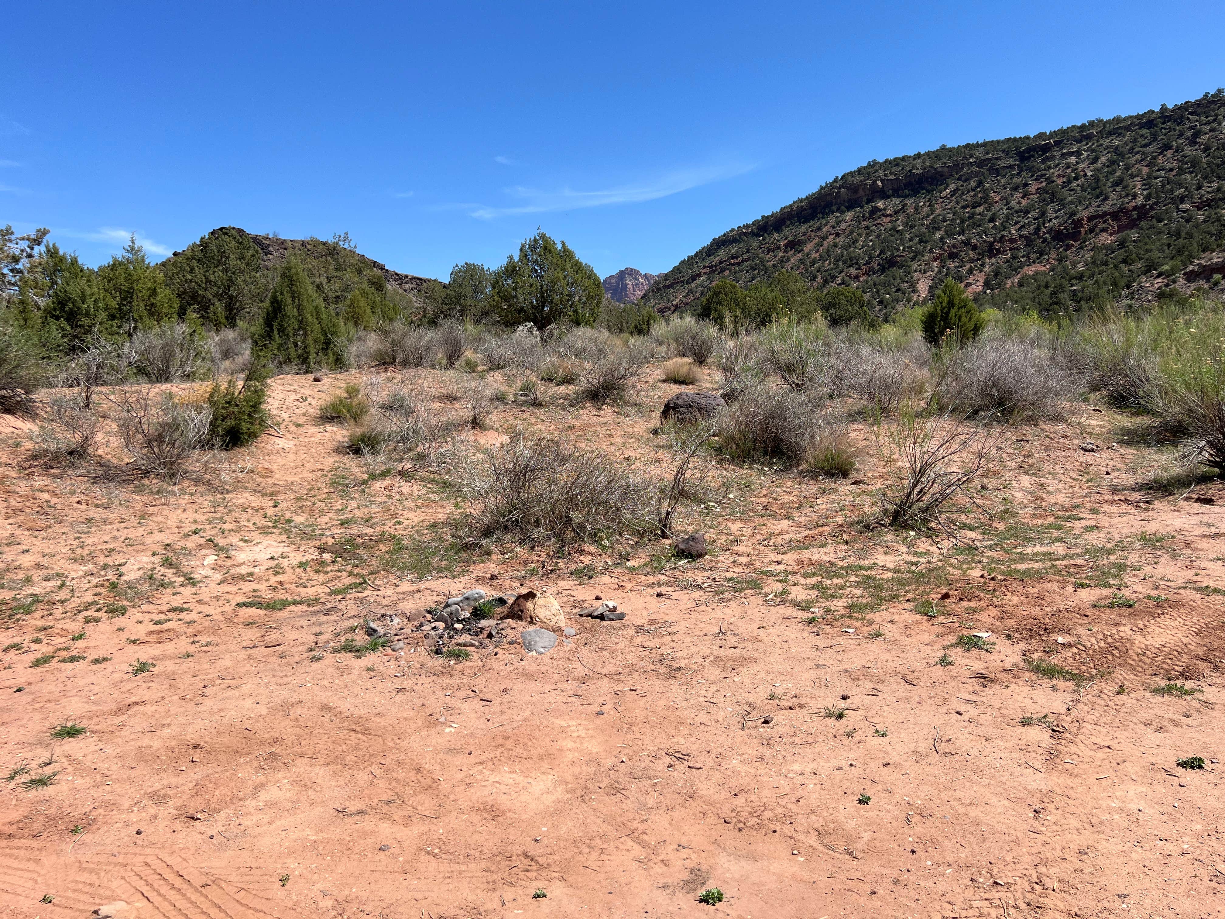 Kolob Road BLM Dispersed