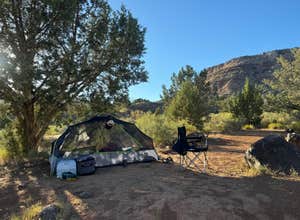 Kolob Road BLM Dispersed