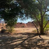 Review photo of Kolob terrace dispersed camping by Karson M., June 23, 2025