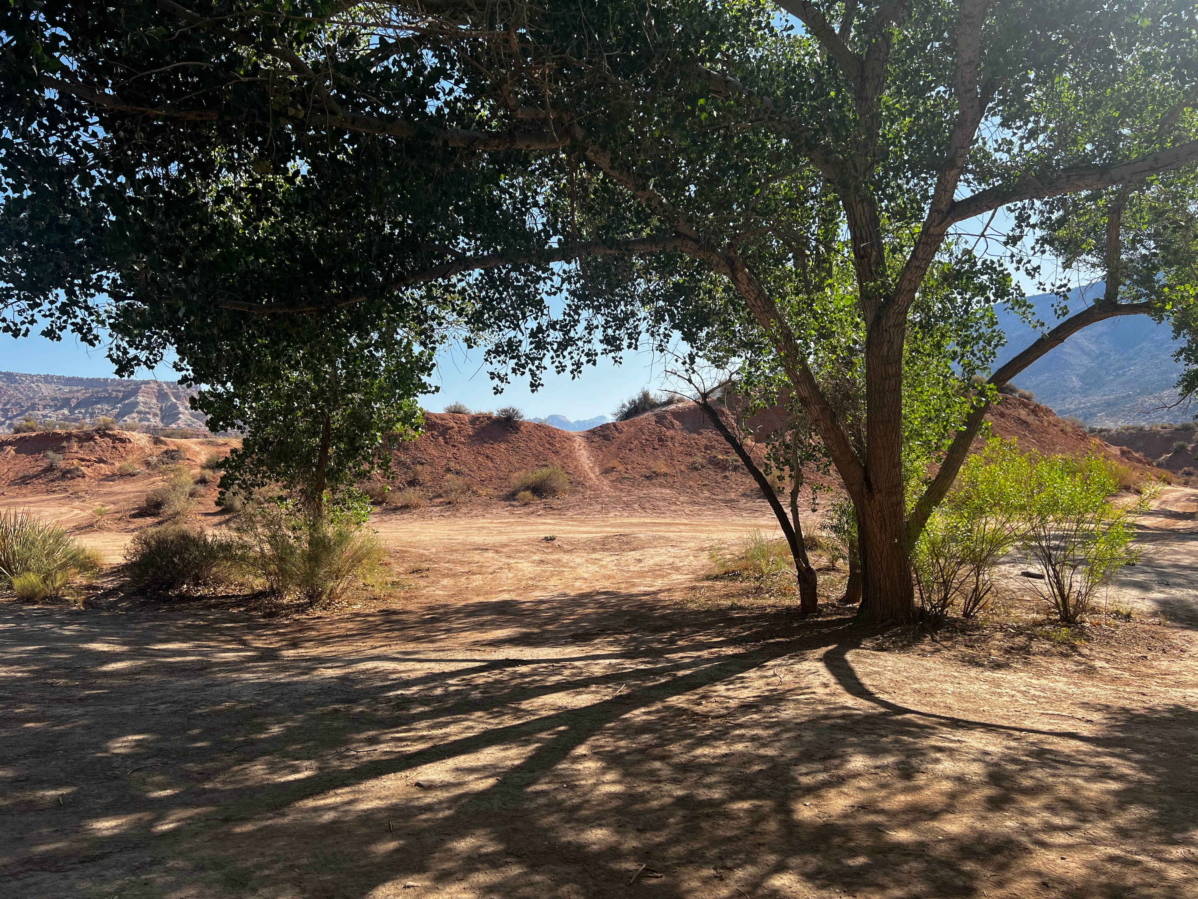 Camper submitted image from Kolob terrace dispersed camping - 3