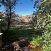 Review photo of Kolob terrace dispersed camping by Karson M., June 23, 2025