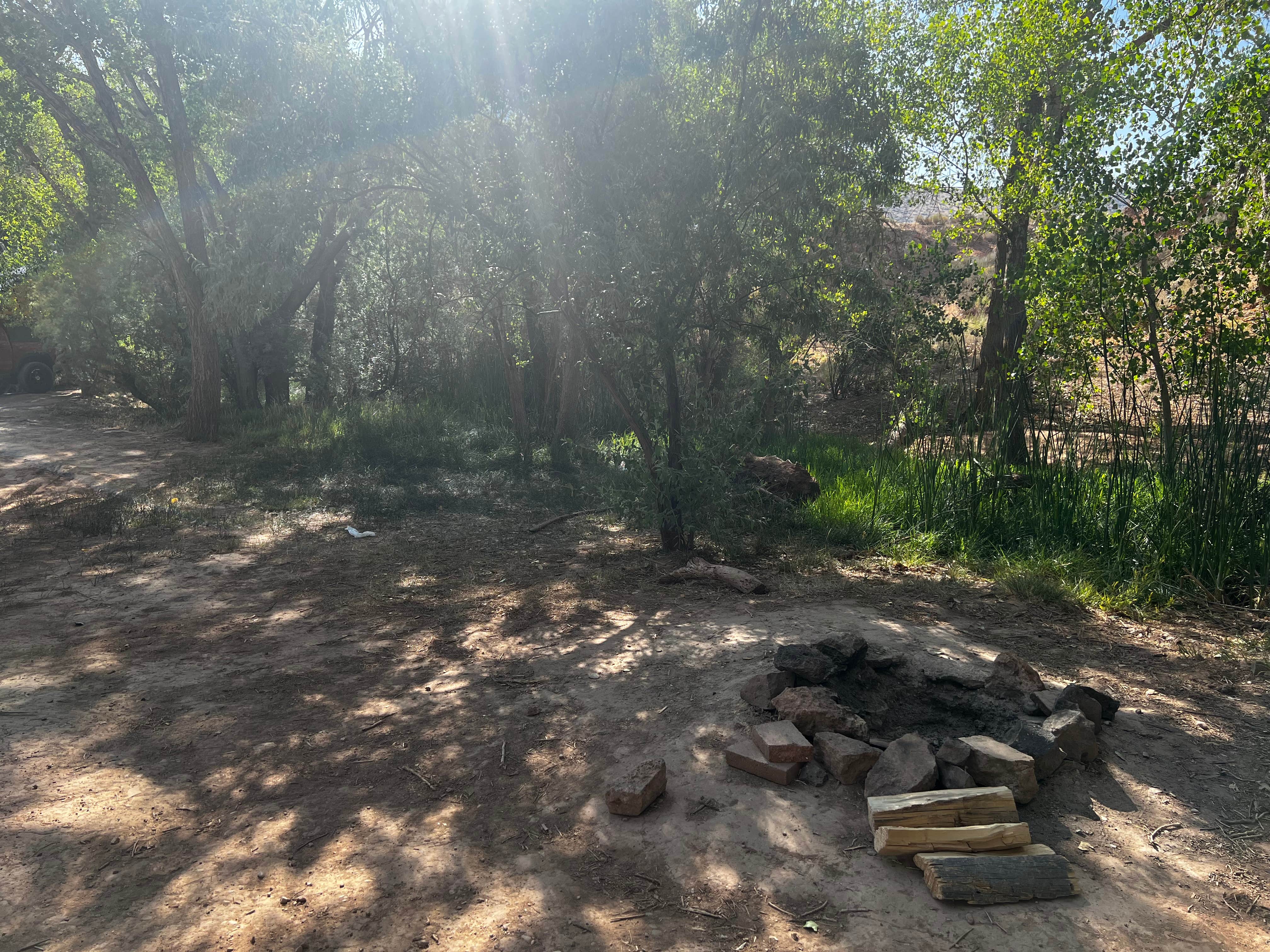 Camper submitted image from Kolob terrace dispersed camping - 2