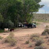 Review photo of Kolob Terrace Road by John R., May 4, 2025