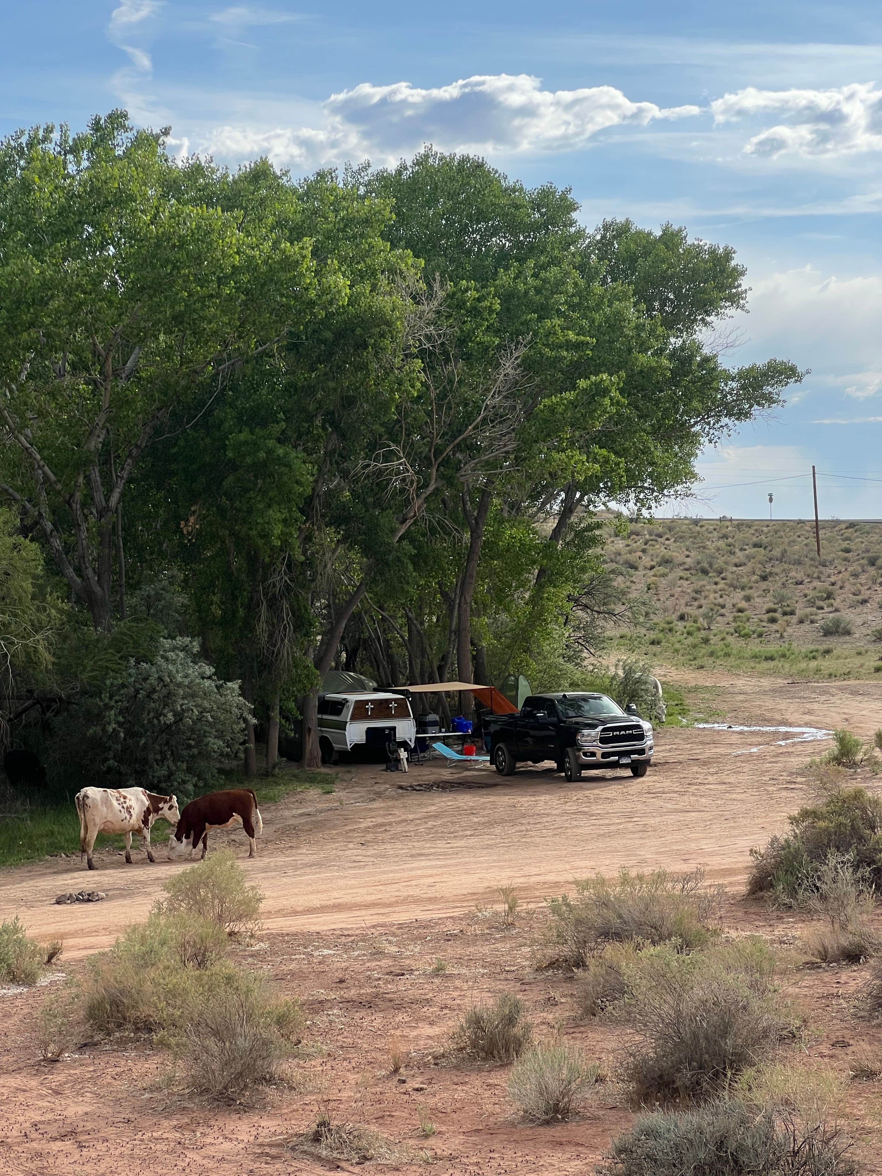 Camper submitted image from Kolob Terrace Road - 5