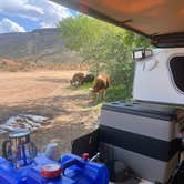 Review photo of Kolob Terrace Road by John R., May 4, 2025