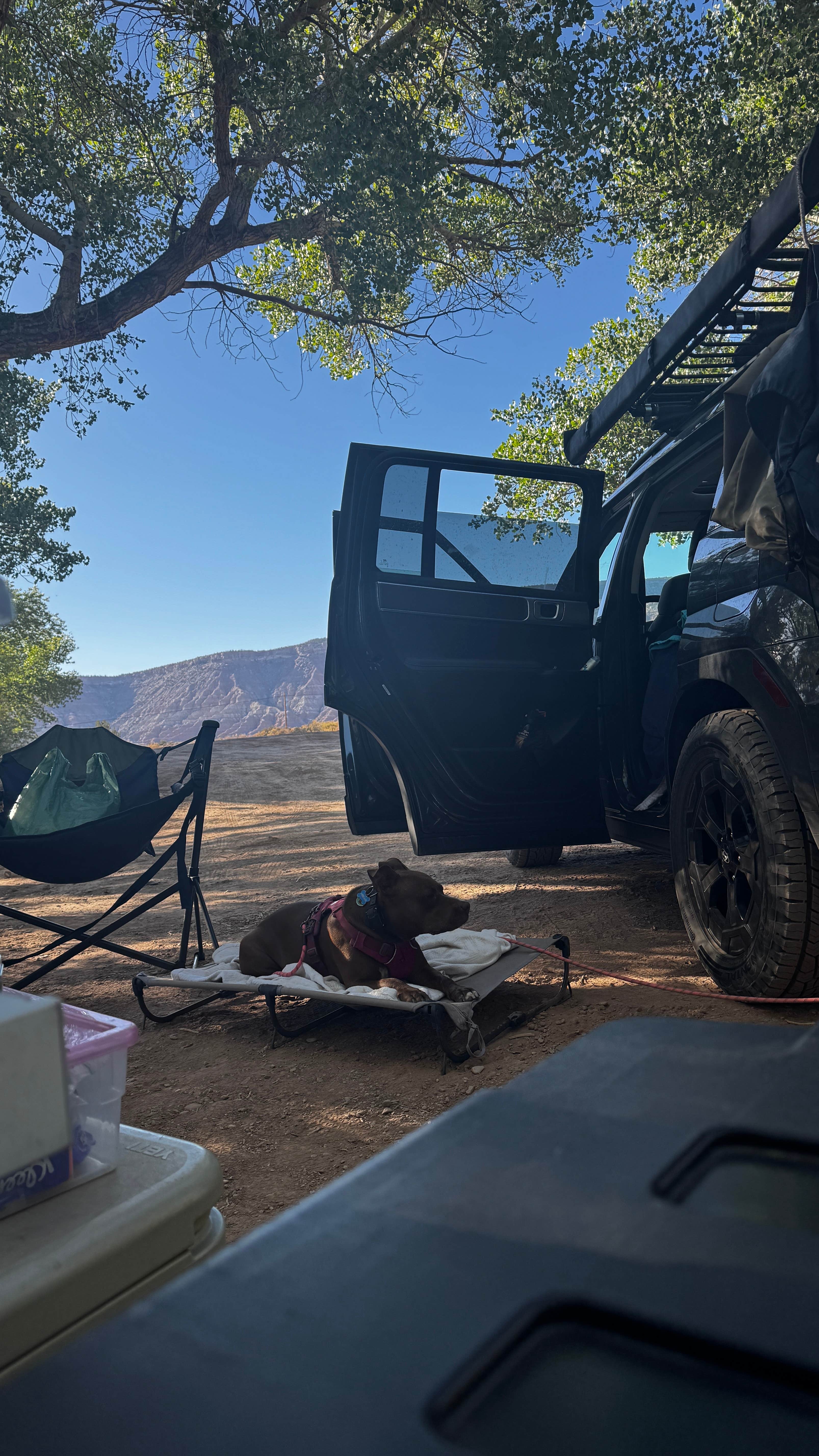 Camper-submitted photo at Kolob Terrace Road near Cedar City, UT