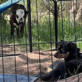 Review photo of Kolob Terrace Road by John R., May 4, 2025