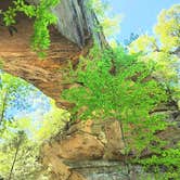 Review photo of Koomer Ridge Campground — Daniel Boone National Forest by Drew B., September 24, 2026