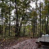 Review photo of Koomer Ridge Campground — Daniel Boone National Forest by Andy B., October 17, 2026
