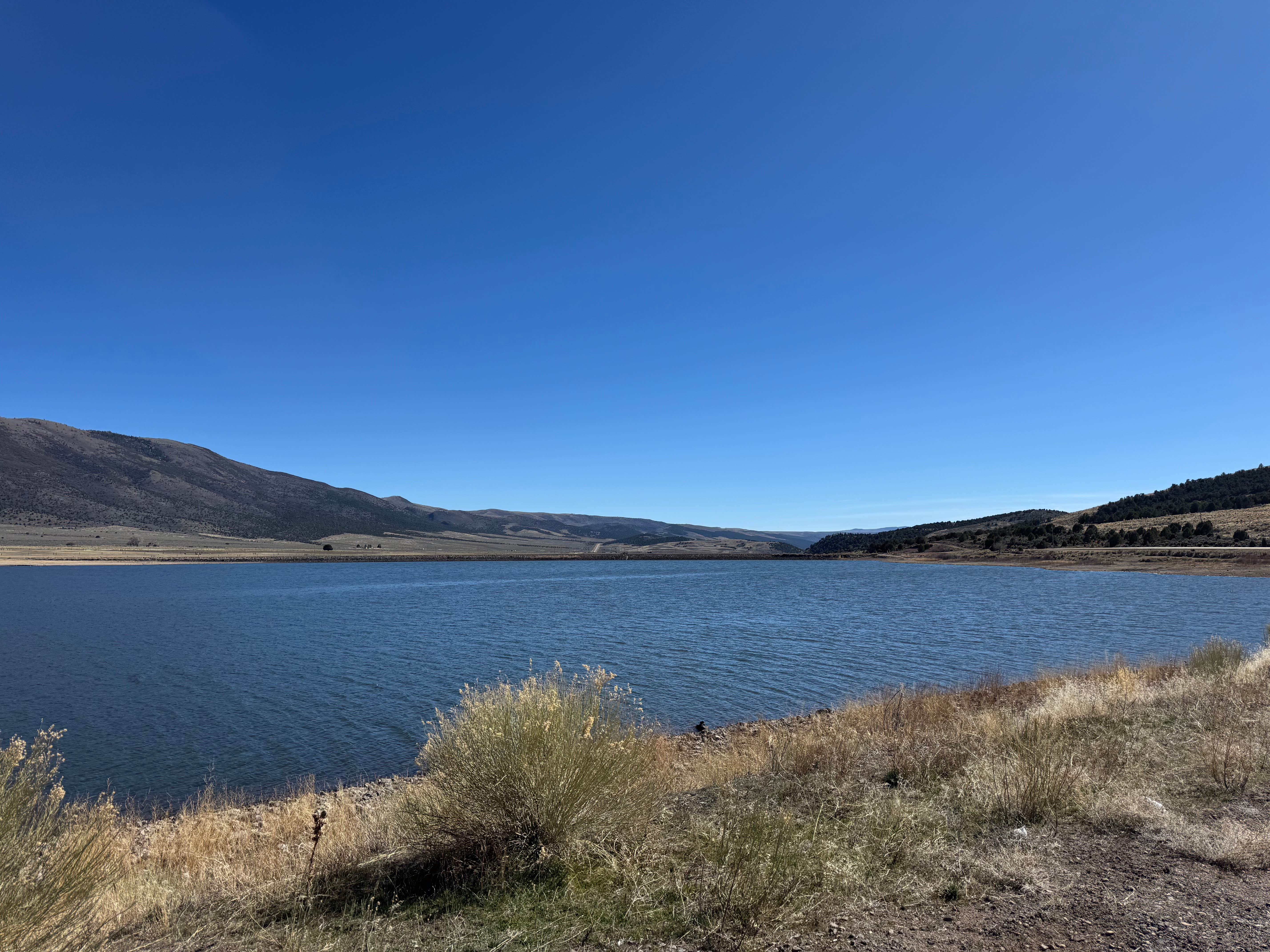 Eddie C.'s photo of a dispersed camping area at Koosharem Reservoir near Junction, UT