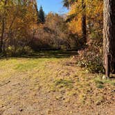 Review photo of Kootenai National Forest Whitetail Campground by Amy W., October 6, 2026