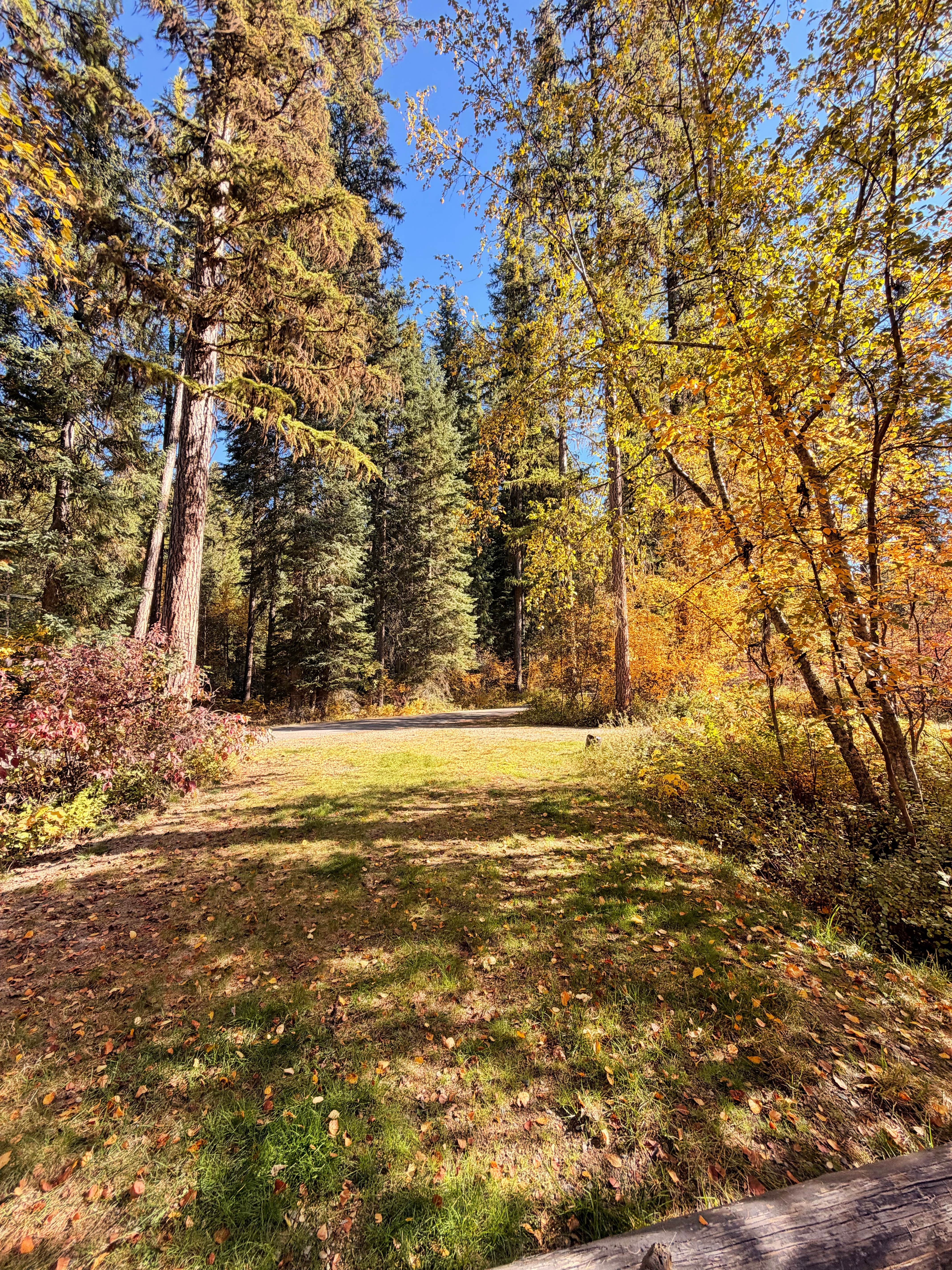 Camping near Red Top Campground: Kootenai National Forest Whitetail Campground, Moyie Springs, Montana