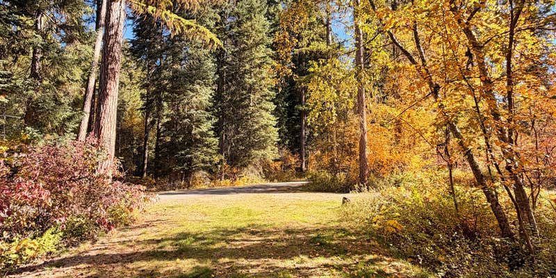 Camper submitted image from Kootenai National Forest Whitetail Campground
