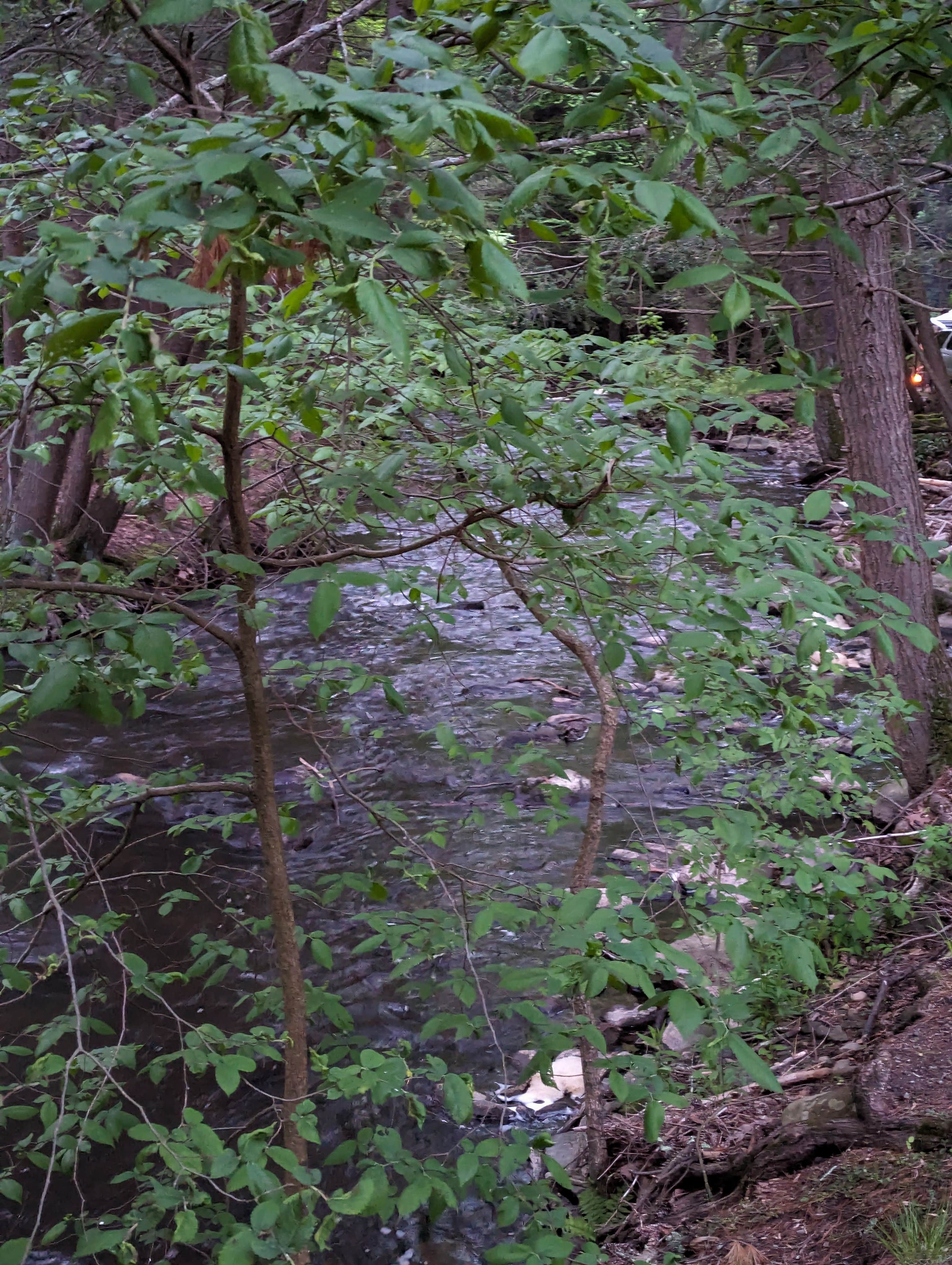 Camper-submitted photo at Korns Campgrounds near Pine Bush, NY