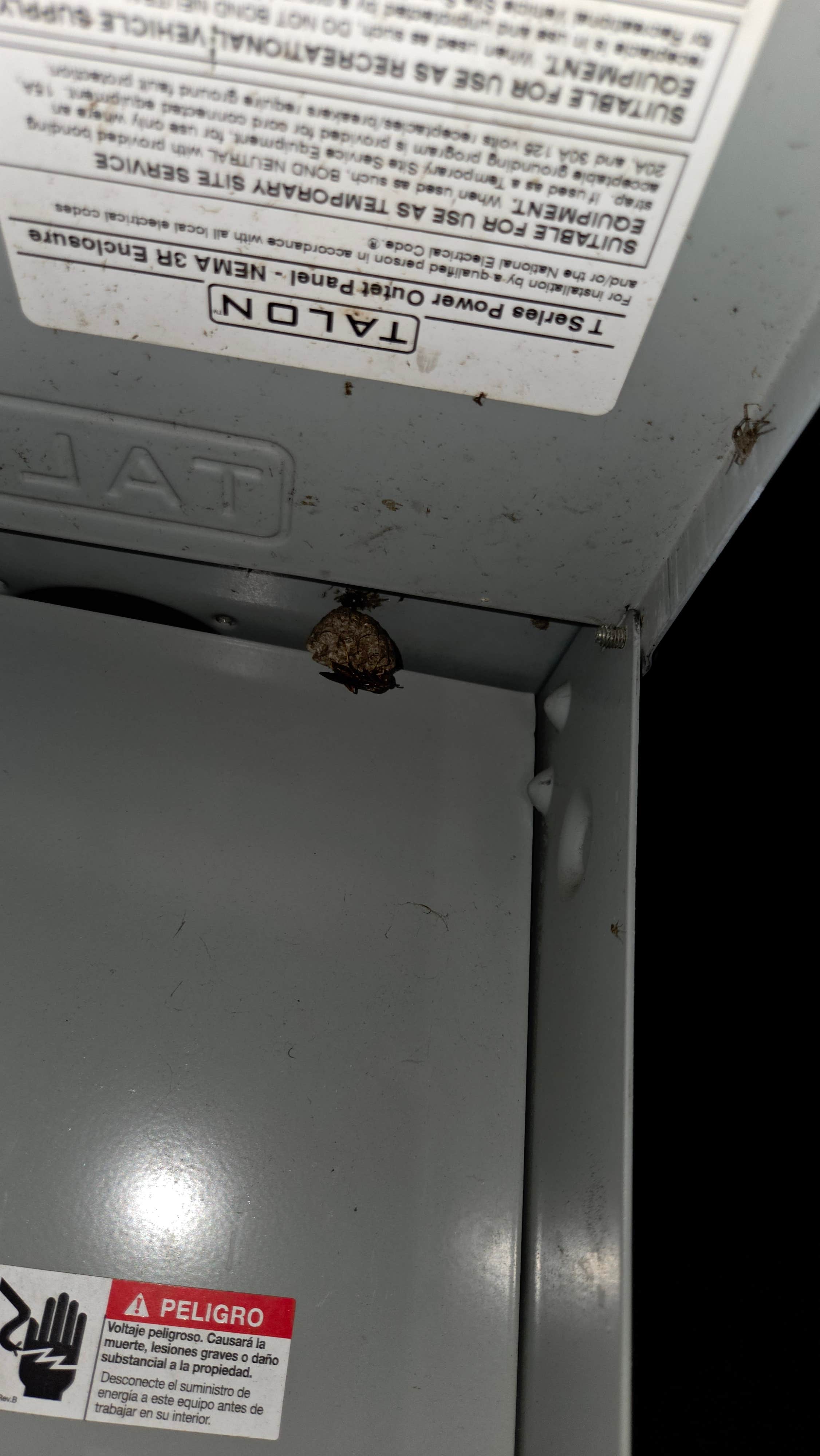 Camper submitted image from Krodel Park Campground - 5