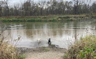 Crystal B.'s photo of camping with pets at Kruger Unit - RJD Memorial Hardwood State Forest near Spring Valley, WI