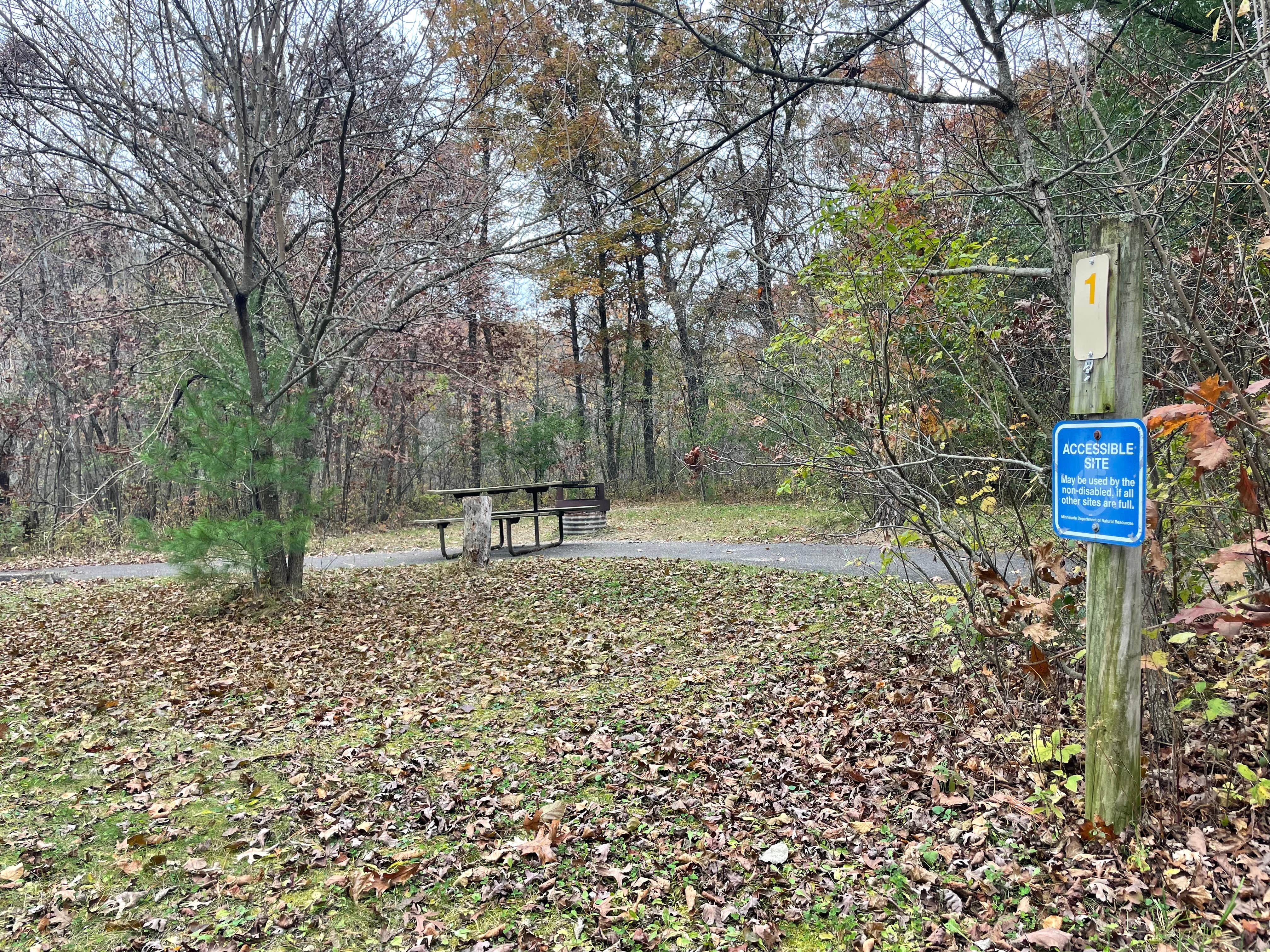 Camper submitted image from Kruger Unit - RJD Memorial Hardwood State Forest - 2