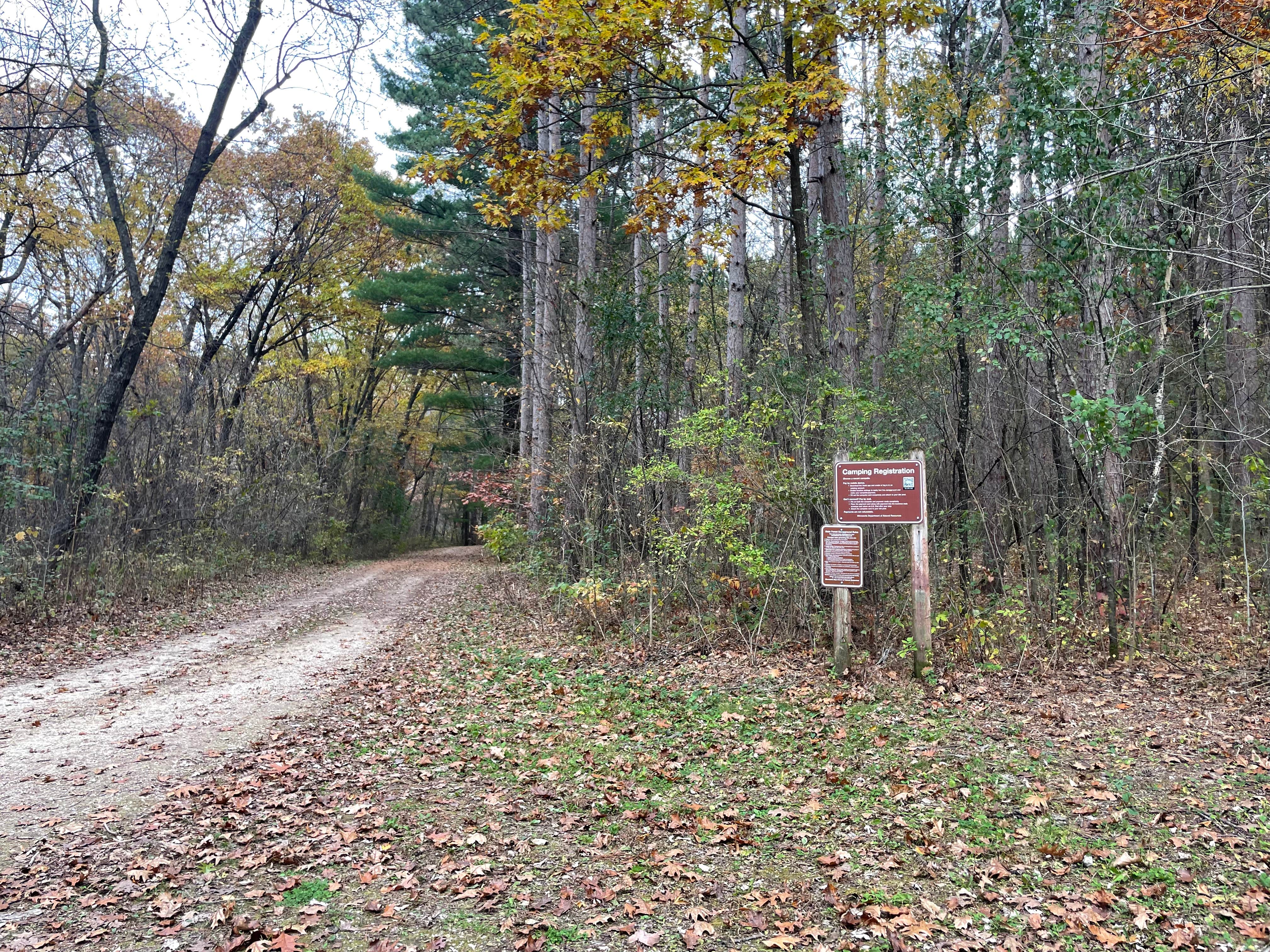 Camper submitted image from Kruger Unit - RJD Memorial Hardwood State Forest - 5