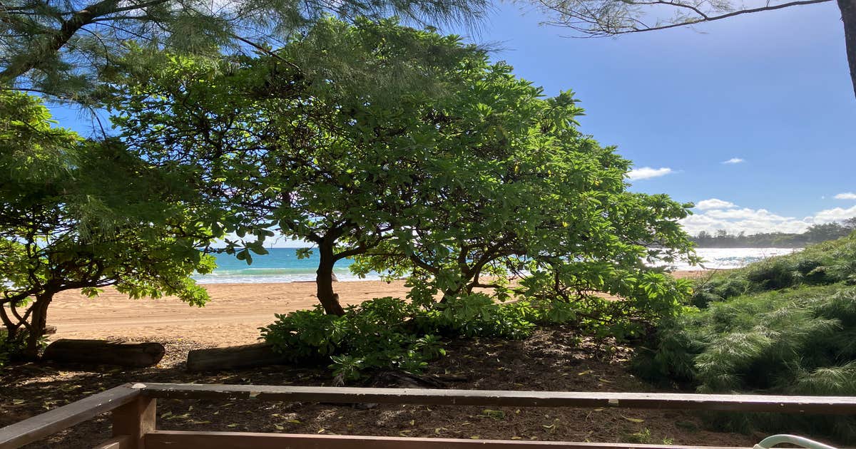Kumu Camp
