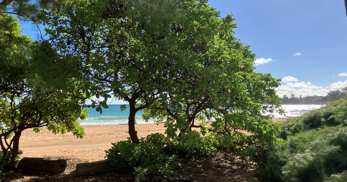Kumu Camp