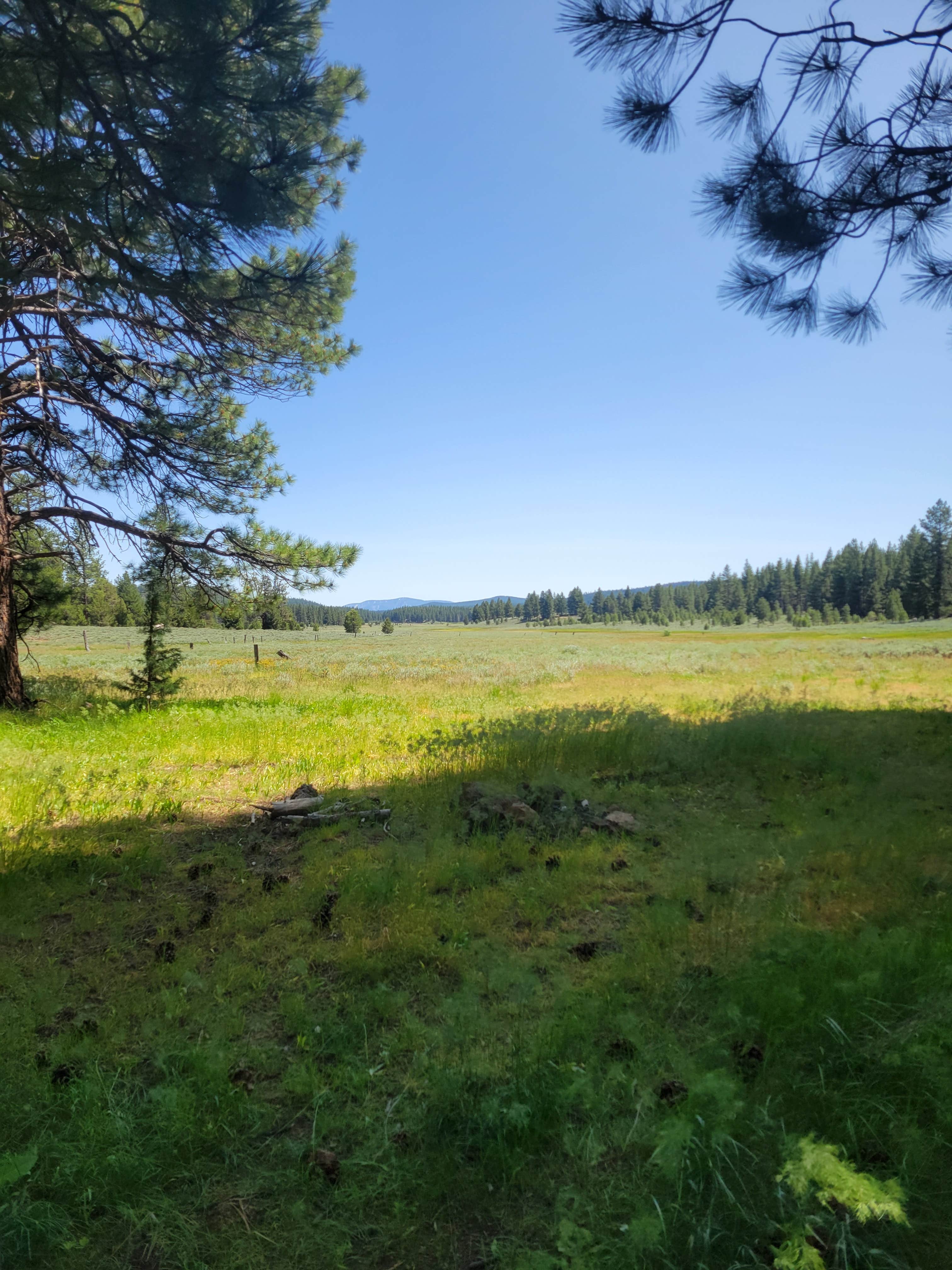 Camper submitted image from Kybar Flats - 1