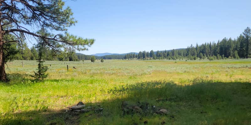 Camper submitted image from Kyburz Flats