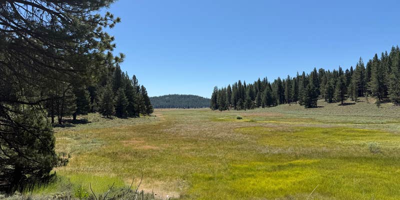 Camper submitted image from Kyburz Flats
