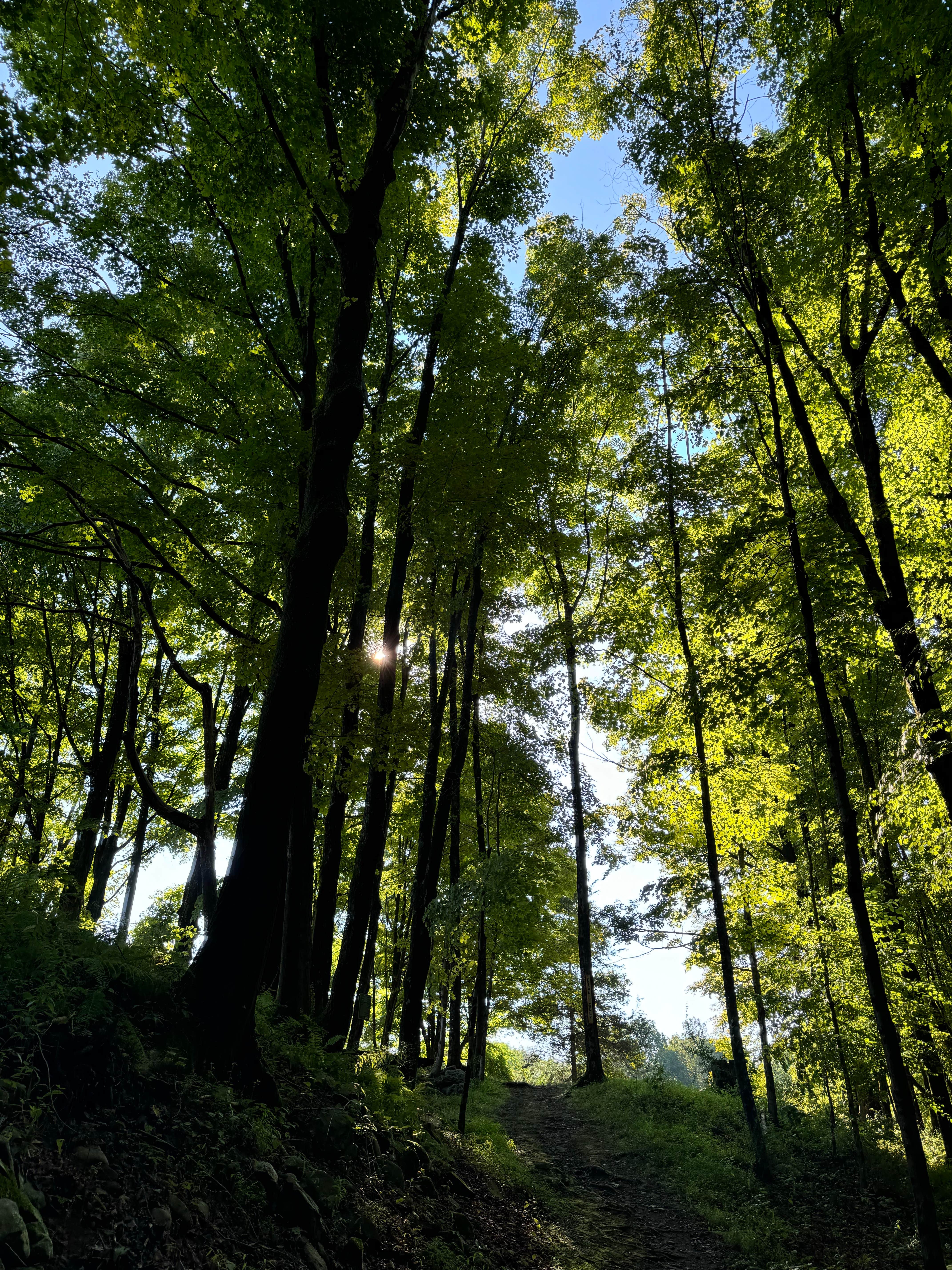 Camper-submitted photo at Kymers Camping Resort near Matamoras, PA