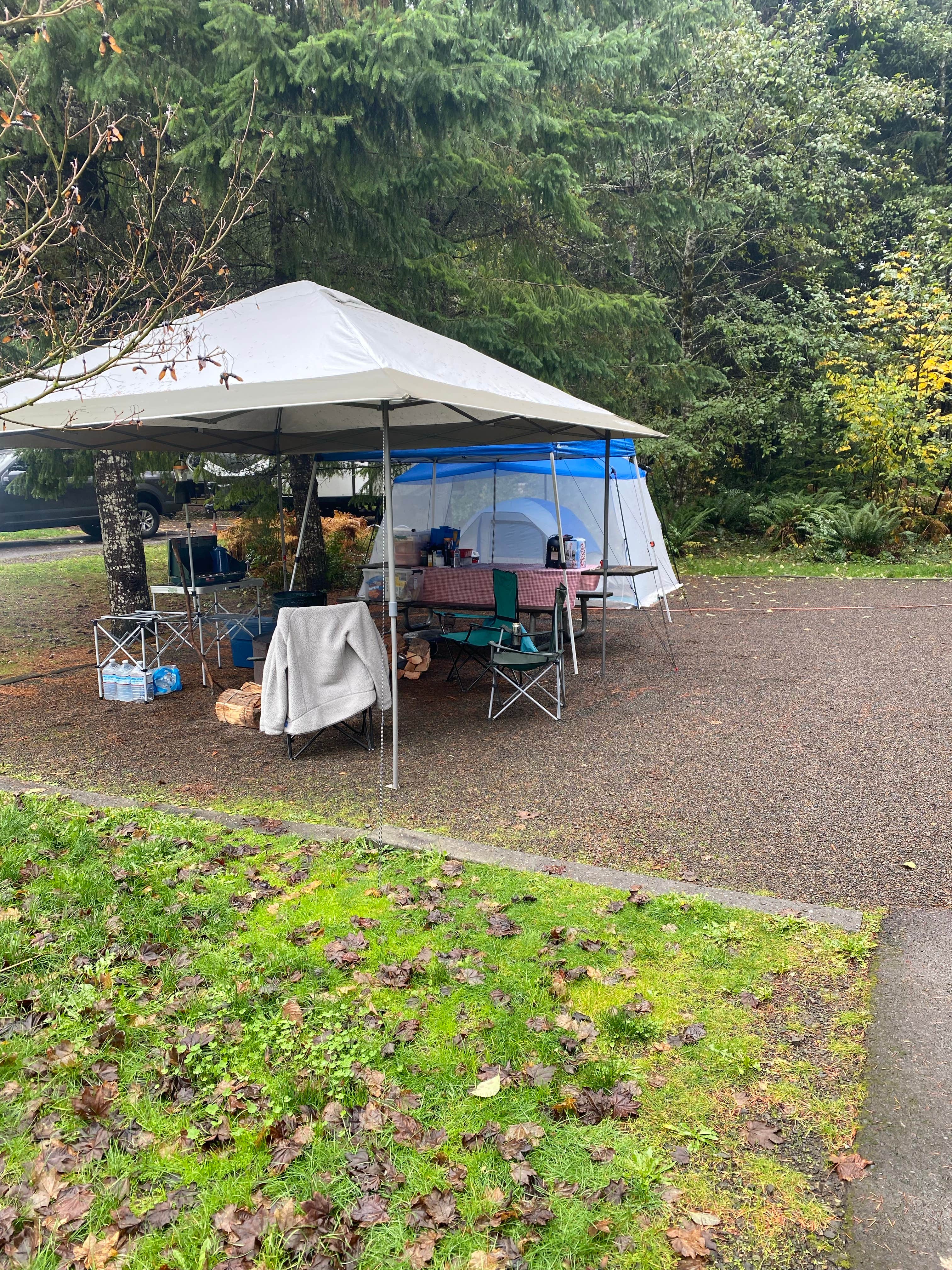 Erik M.'s photo at Dairy Creek West — L.L. Stub Stewart Memorial State Park near St. Helens, OR