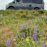 Review photo of L.T. Murray Wildlife Area by Mary B., January 11, 2026