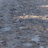 Review photo of L.T. Murray Wildlife Area by Justin H., September 24, 2026