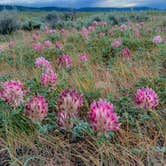 Review photo of L.T. Murray Wildlife Area by Mary B., January 11, 2026