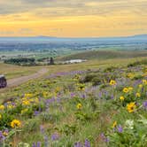 Review photo of L.T. Murray Wildlife Area by Mary B., January 11, 2026