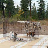 Review photo of L.T. Murray Wildlife Area by Josh W., October 10, 2025