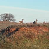 Review photo of La Grange Off-Road Park Campground by New D., April 8, 2024