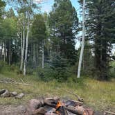Review photo of Carson National Forest La Junta Canyon by Justin M., August 10, 2025