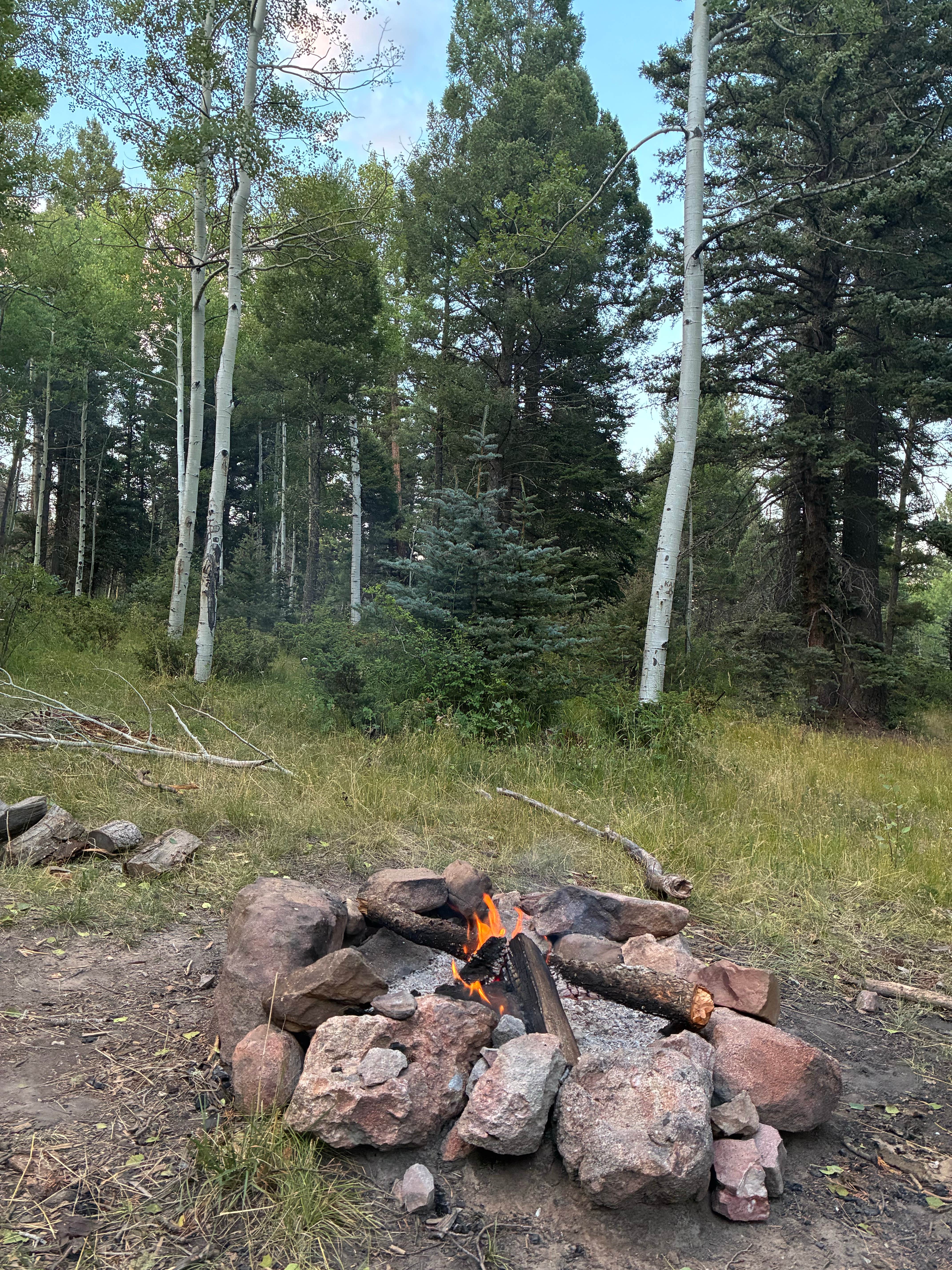 Camper submitted image from Carson National Forest La Junta Canyon - 1