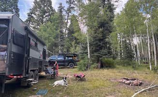 Justin M.'s photo at Carson National Forest La Junta Canyon near Llano, NM