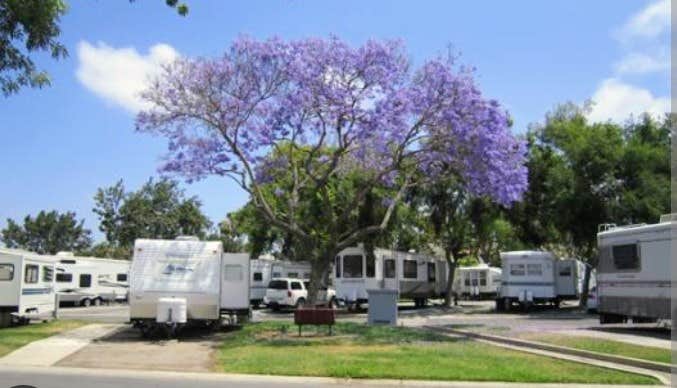 T's photo of rv camping at La Pacifica RV Resort near Bonita, CA