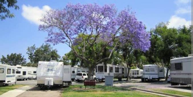 Camper submitted image from La Pacifica RV Resort
