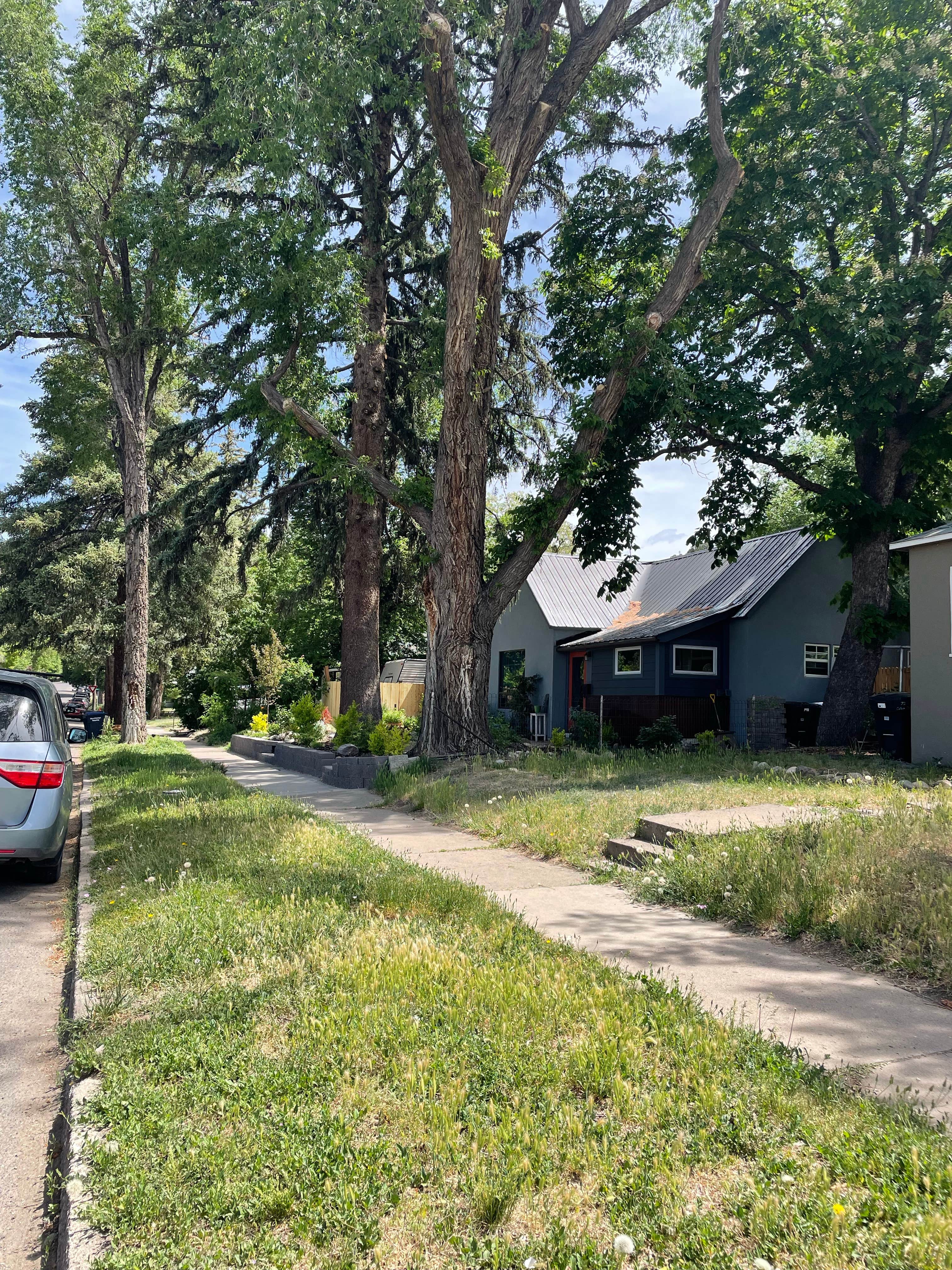 Camper-submitted photo at La Plata County Fairgrounds near Dolores, CO