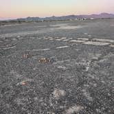 Review photo of La Posa South BLM Long Term Visitor Area (LTVA) by Rick M., April 13, 2025